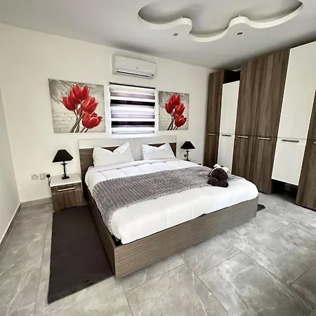 Modern Maltese Charm *