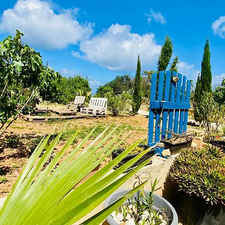 Villa Modern Maltese Charm Xaghra